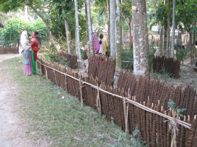 cow dung sticks sitting by the roadside