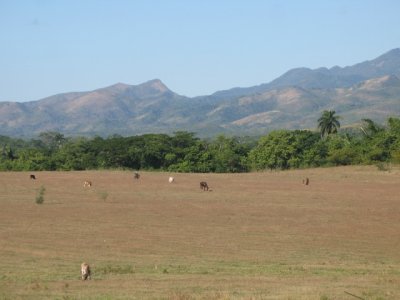 Countryside around Manaca Iznaga  plantation