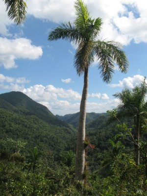 Trail to Caburni in the Topes de Collantes