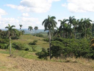 On the road to Manicaragua