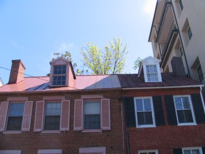 metal roofing-Annapolis MD.jpg