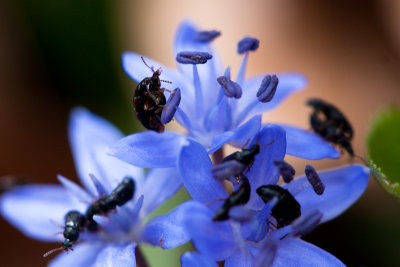 spring_13.jpg
