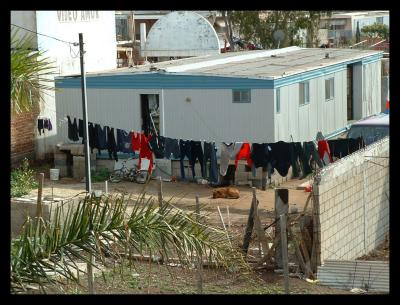 Neighbors laundry on Sunday.