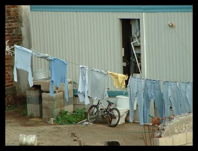 Neighbors laundry on Saturday