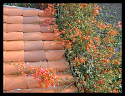 terra cotta tile and leaves 2