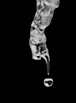 Ice art-8.jpg