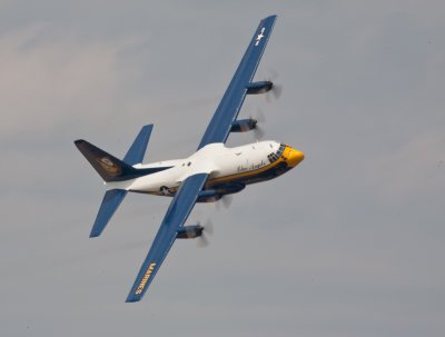 _MG_7503.jpg