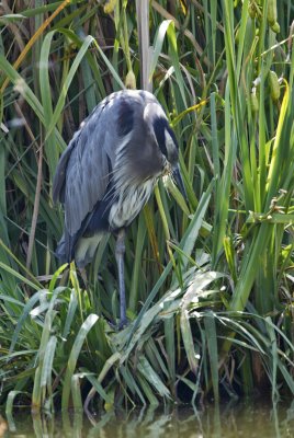 C03E2241.JPG