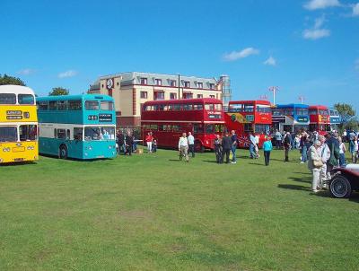 Various buses.