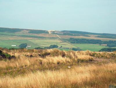 Near Sweethope Lough.