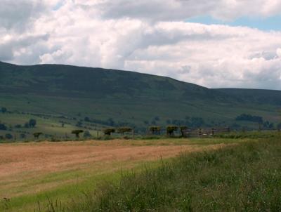 Rothbury hills 4.