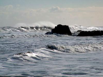 A really wild North Sea trow rocks from South Shields beach2.