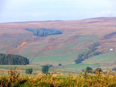 014 Northumberland countryside.