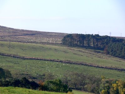 016 Northumberland countryside.