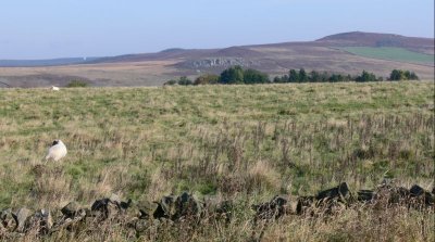 017 Northumberland countryside.