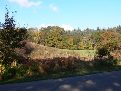 086 Hamsterley Forest.