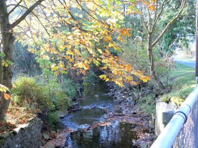 089 Hamsterley Forest.