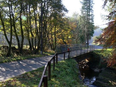 096 Hamsterley Forest.