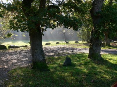 098 Hamsterley Forest.