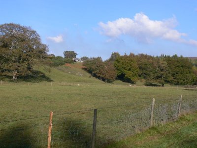 103 Hamsterley Forest.