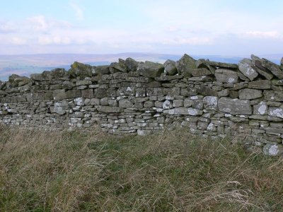 116 Overlooking Weardale.