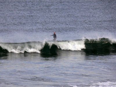 Surfing.