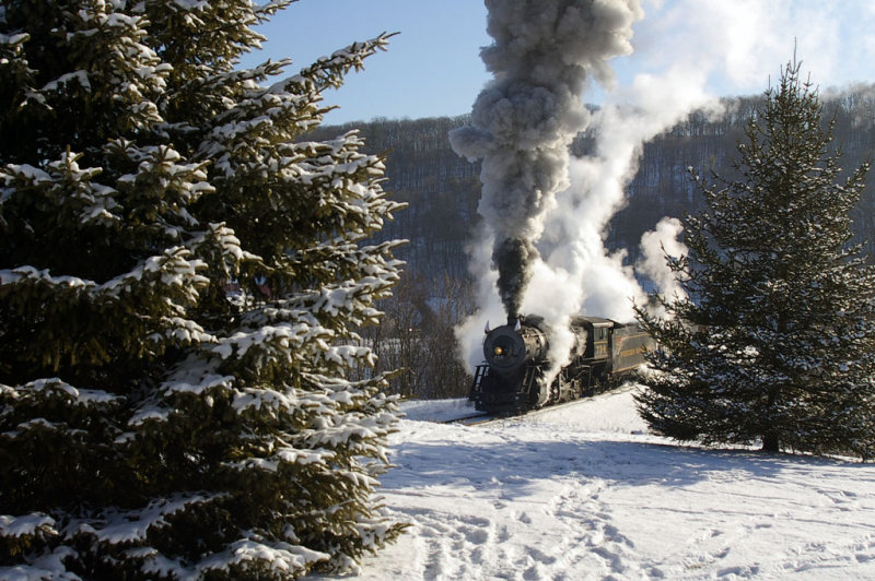 01-31-2010 015.jpg