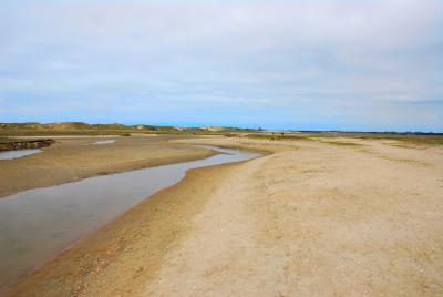g3/93/653593/3/59023797.DSC_0176_B.jpg