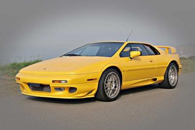 Lotus3.jpg