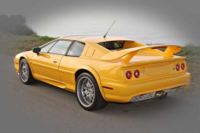 Lotus5.jpg