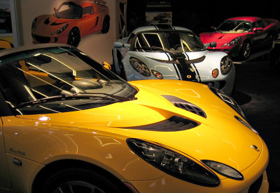 Lotus Perspective by Jason Brookstone