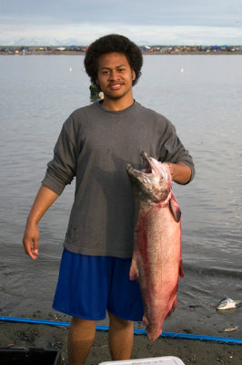 Large Netted King Salmon