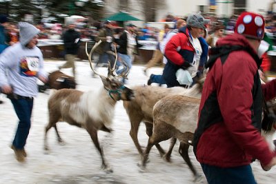 Running With The Reindeer