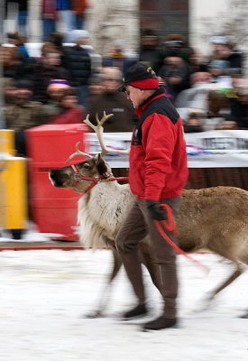 Running With The Reindeer