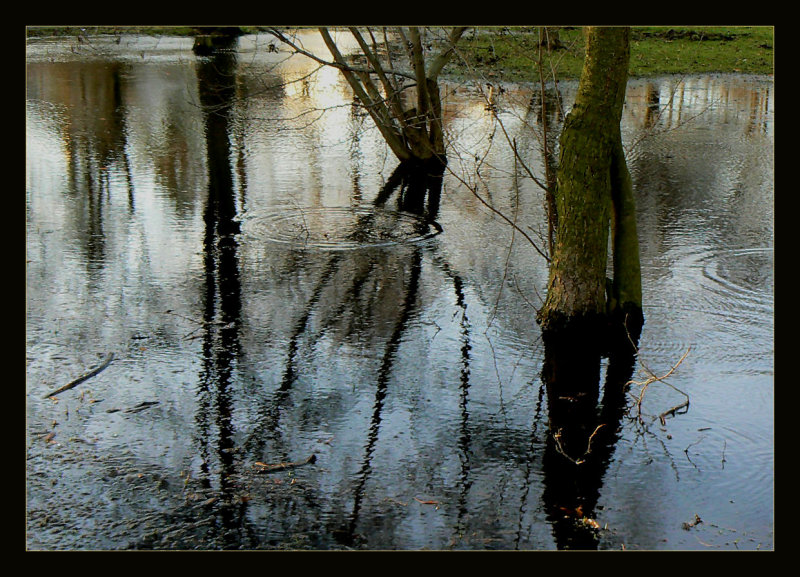 Flooding