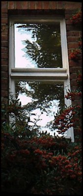 g3/93/667193/3/110169116.LALKgO0m.jpg