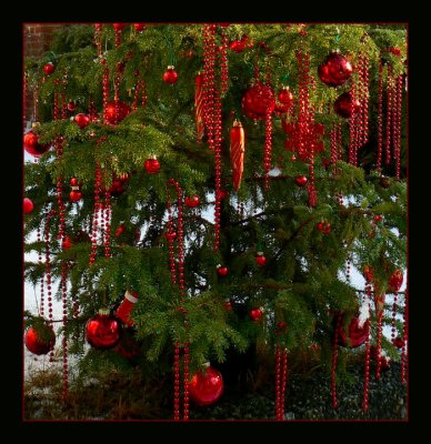 ChristmasTree (detail)