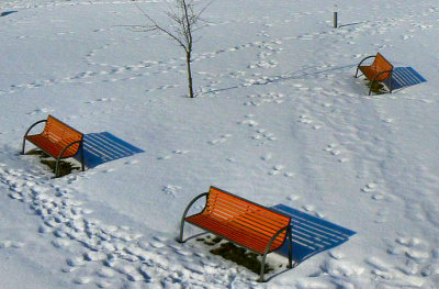 Snowy benches for Peter