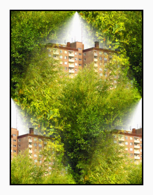 Play with buildings and trees