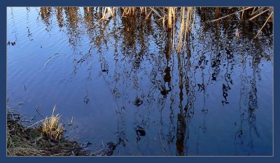 Reflections on blue