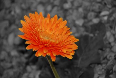 color_3.jpg