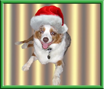Sinatra_santa_hat.jpg