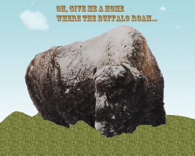 layers_bison.jpg