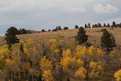 Train Ride 6.jpg