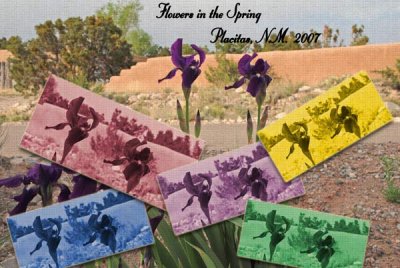 flower_collage_2.jpg