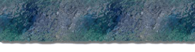 torn_paper_2.png