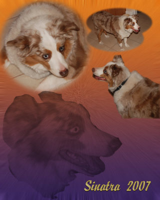 EA_Collages_Week_4