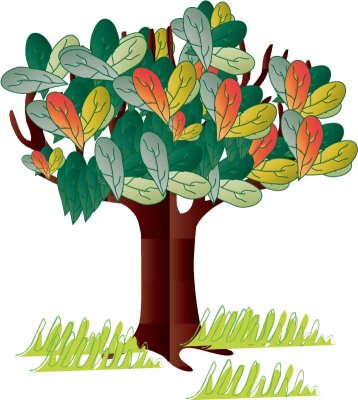 LVS_Illustrator_Part_1_Week_6