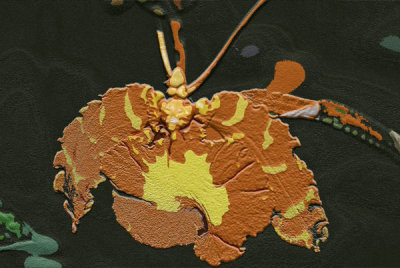 cutout_texture_fade_2.jpg