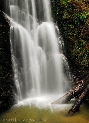 Berry Creek Falls